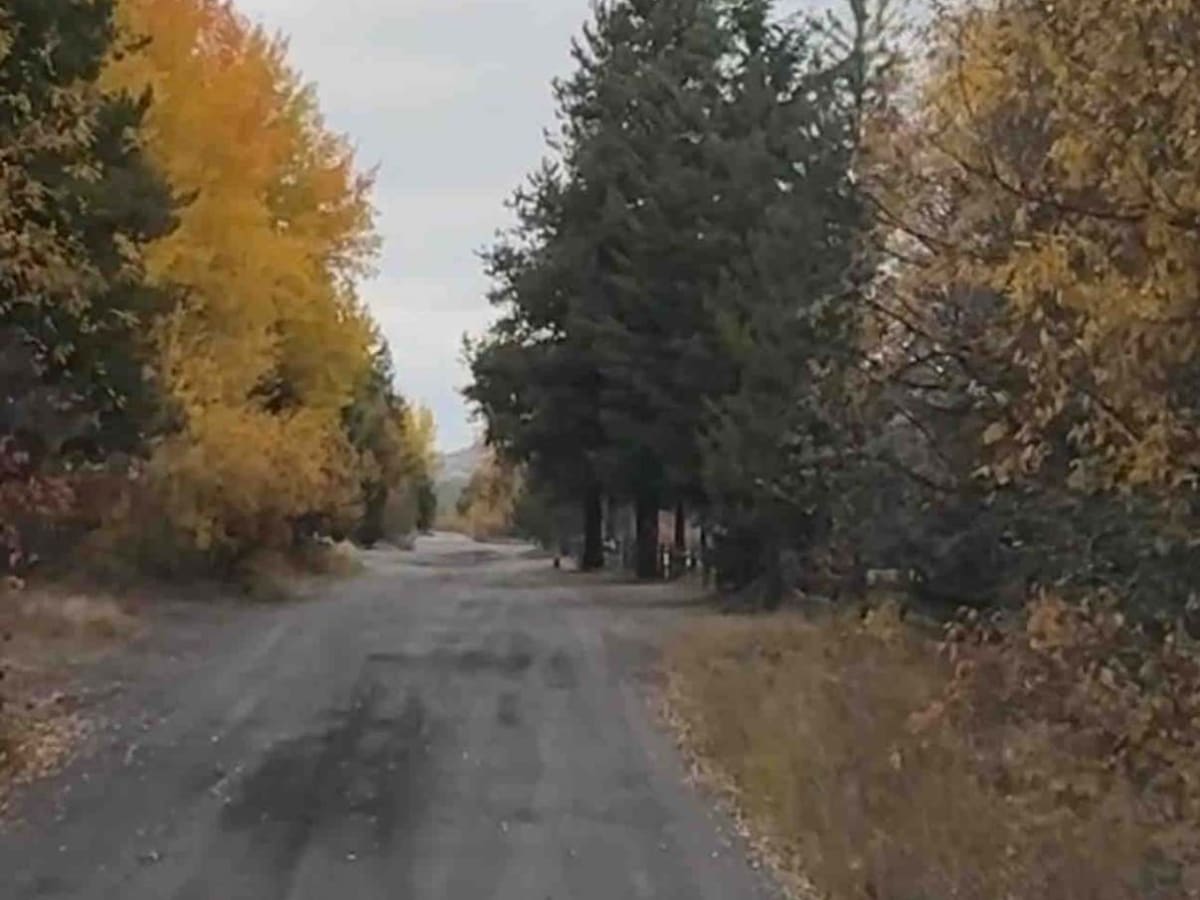 Chute-Gillard Connector photo 5
