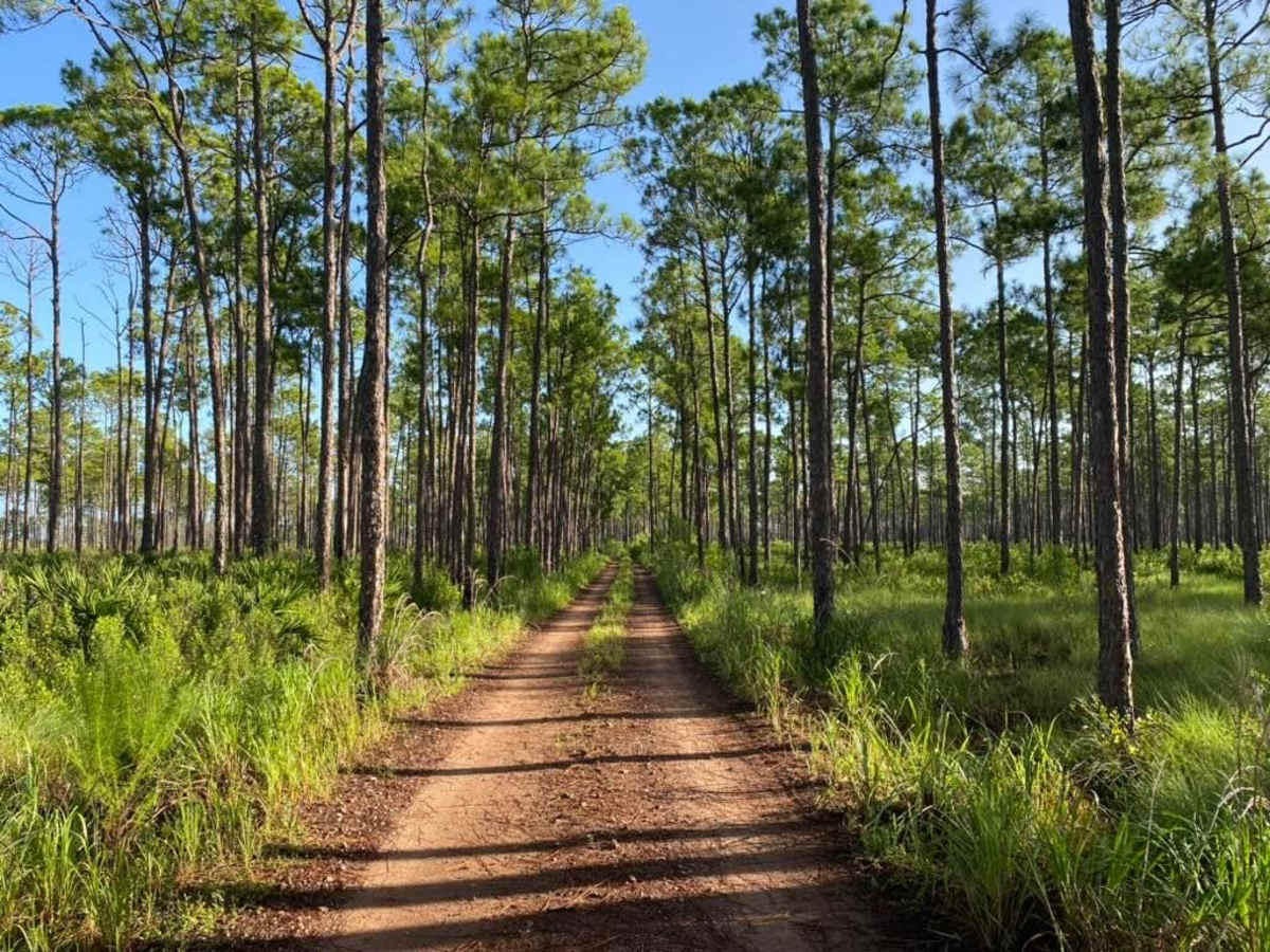 Lake Goodwin Road photo 5