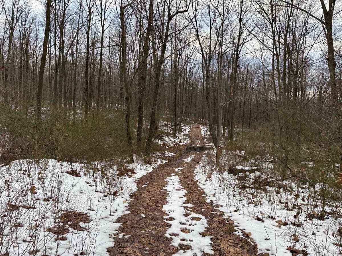 Ashland 182 photo 2