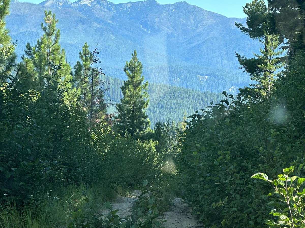 Pole Creek Loop photo 6