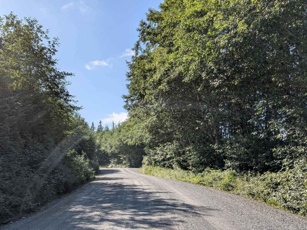 Holberg Main trail photo