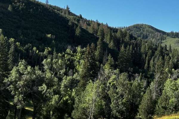 Packard Canyon Trail