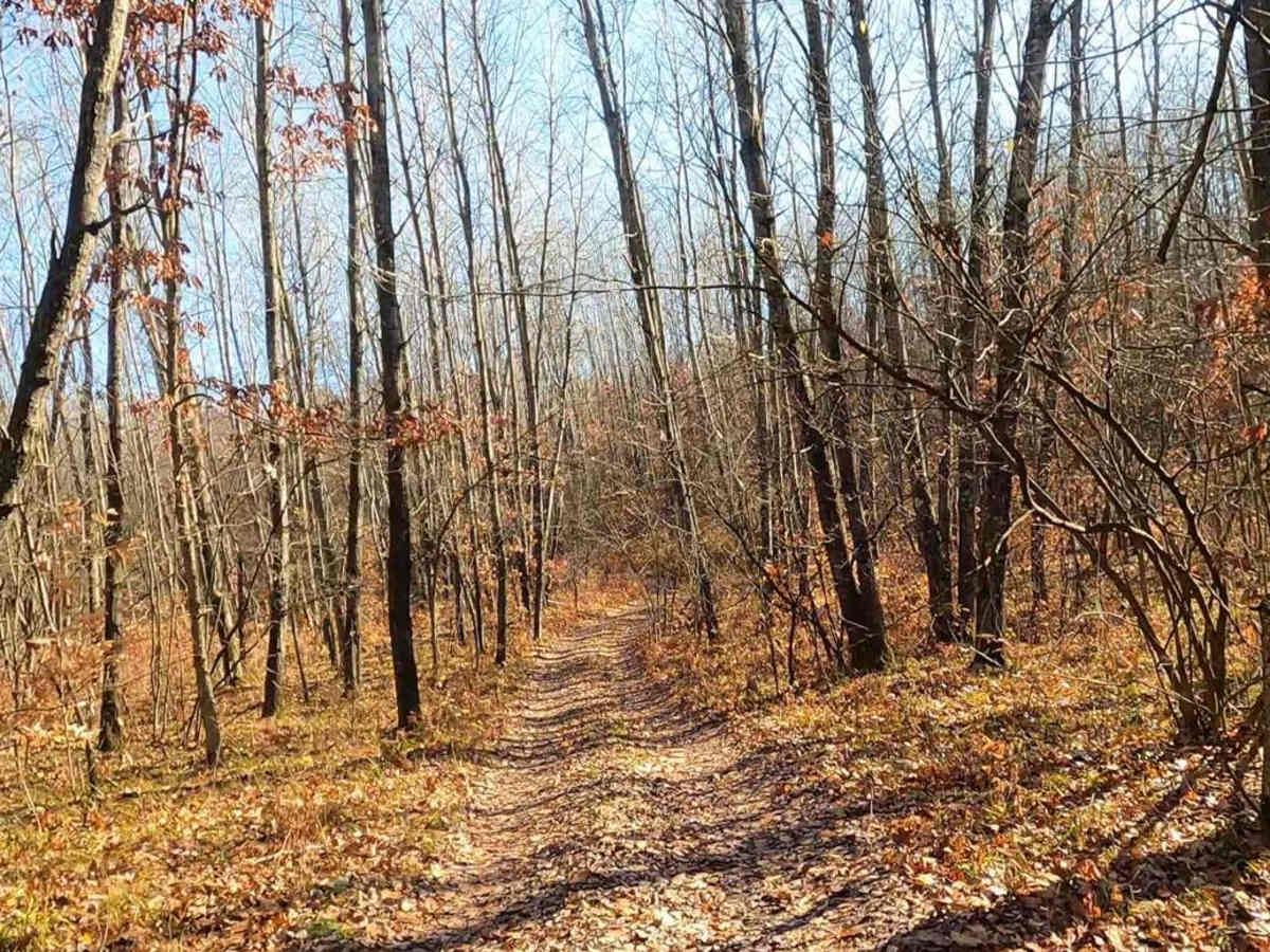 Twin Creek Twisty Trail photo 6