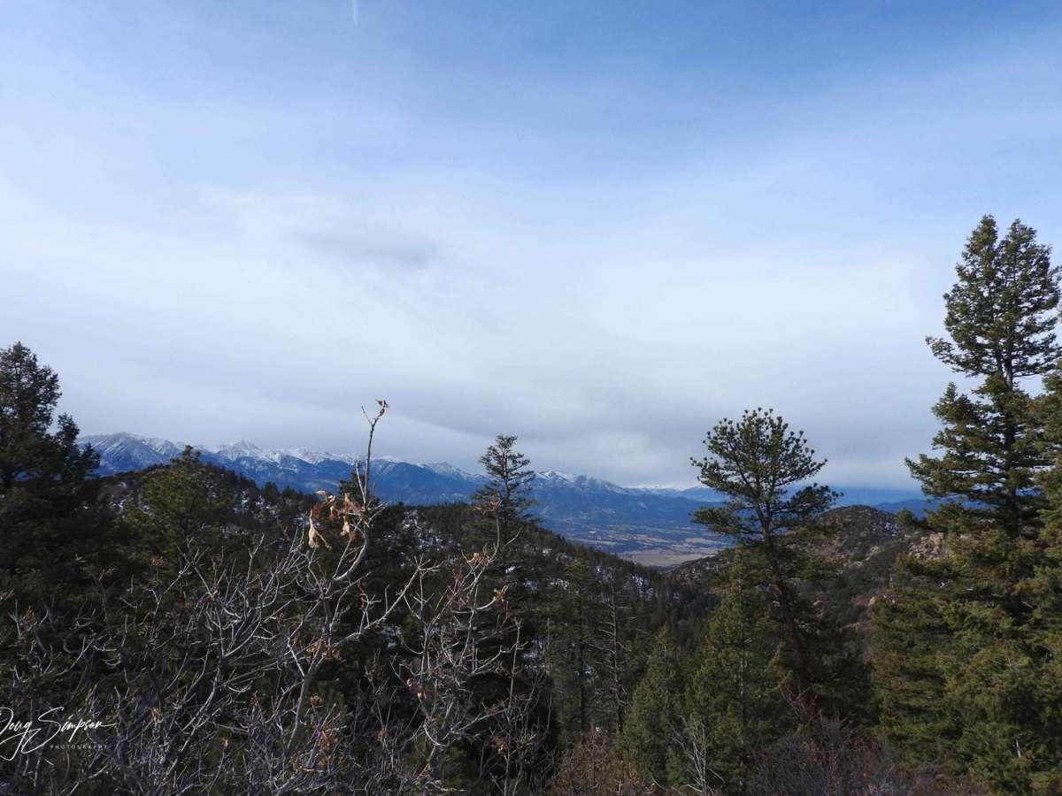 BLM 6012 photo 5