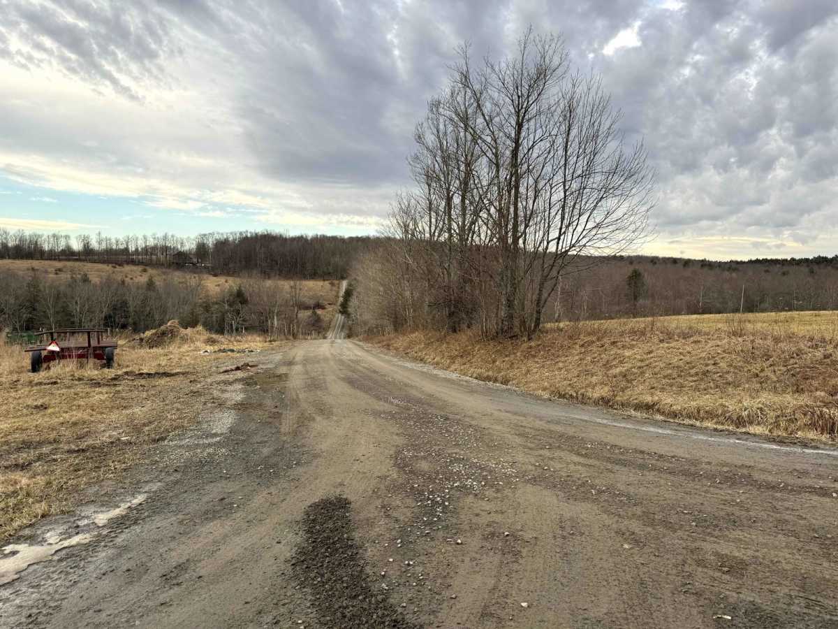 Brown Road photo 6