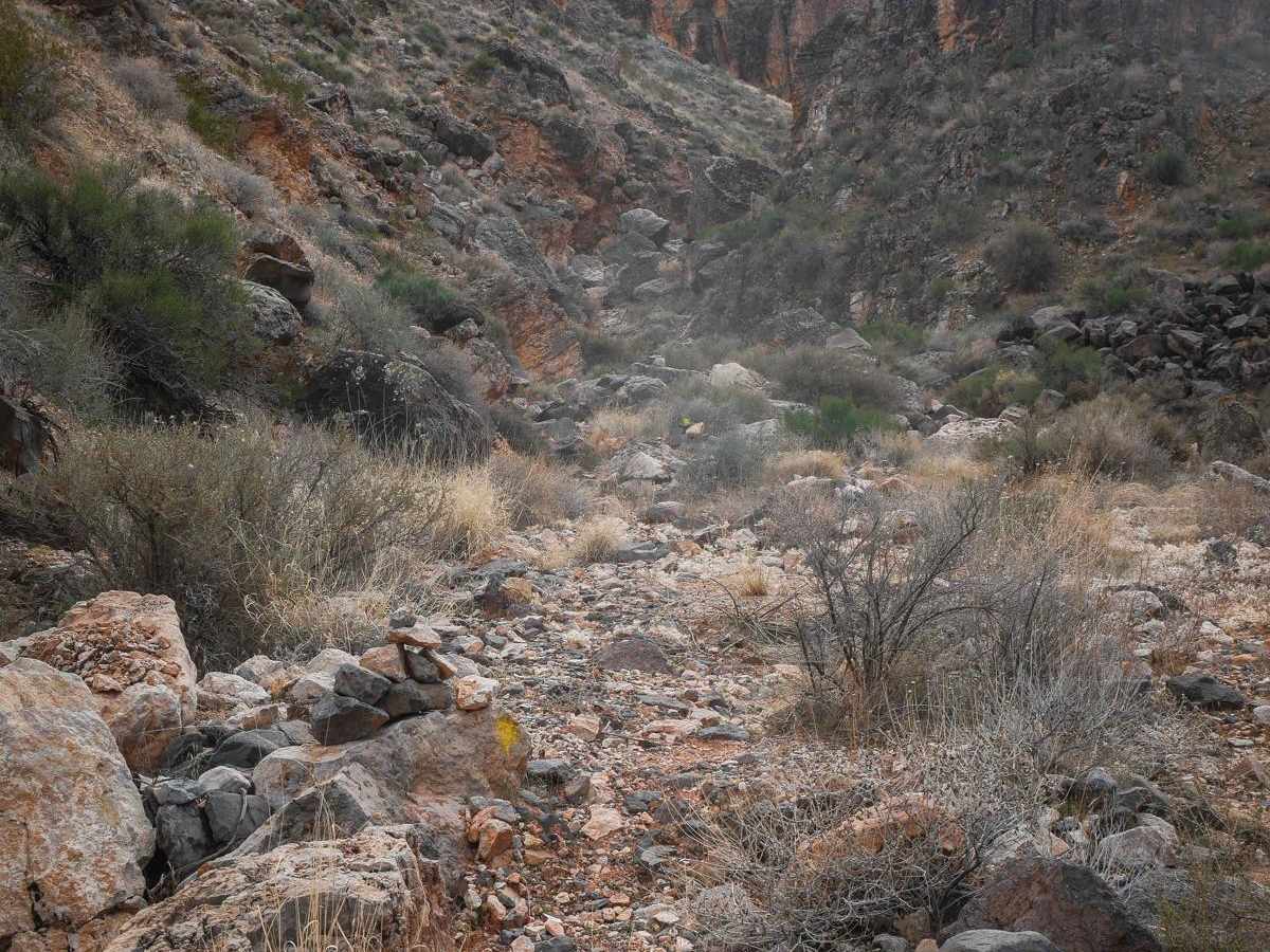 Dutchman Wash Single Track trail photo