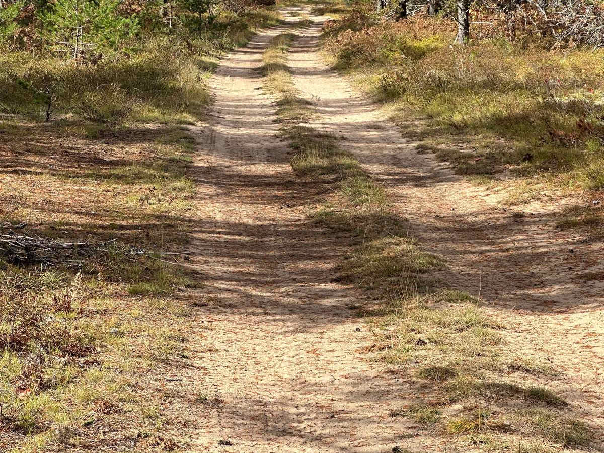 FS 2331 photo 4