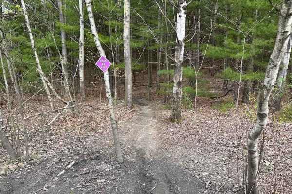 Darkwater Single Track 1
