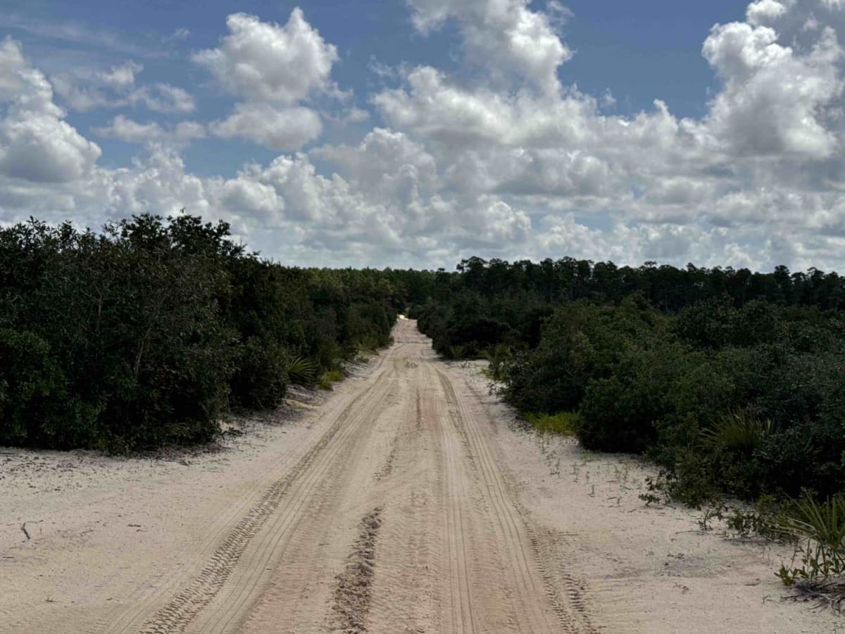 Lam Horse Trail - ONF 22-0.3A photo 5