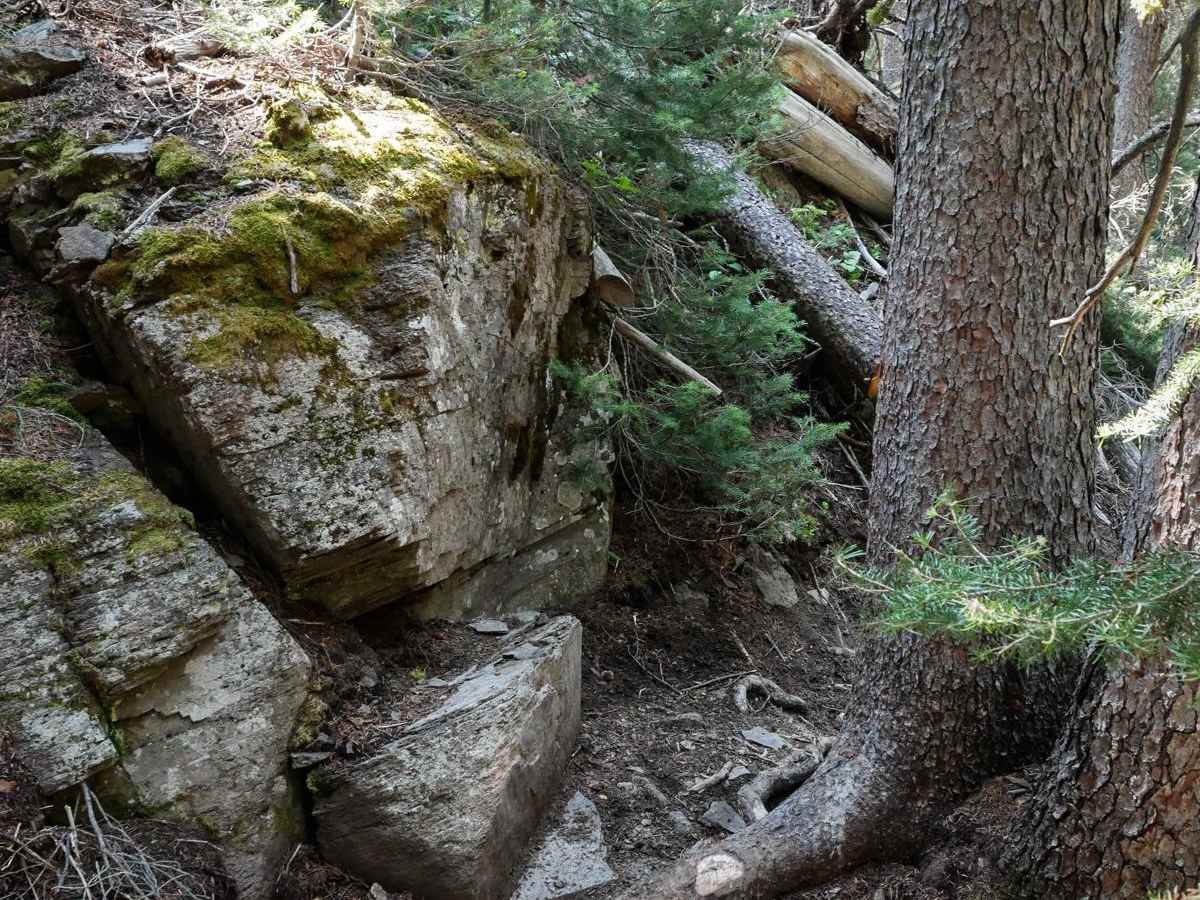 Eleven Mile - Martin Creek photo 2