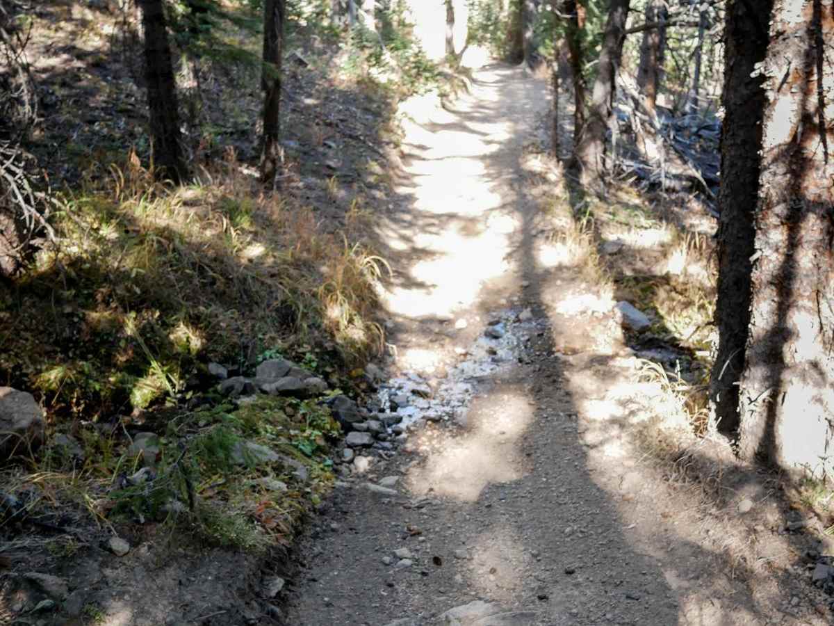 Middle Tenderfoot Mountain photo 5