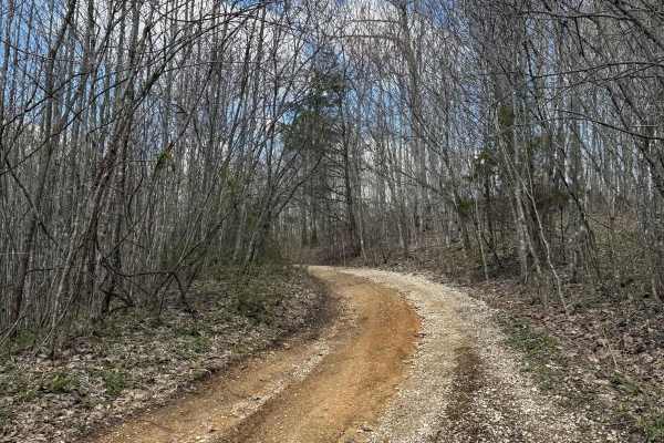 Trail 29
