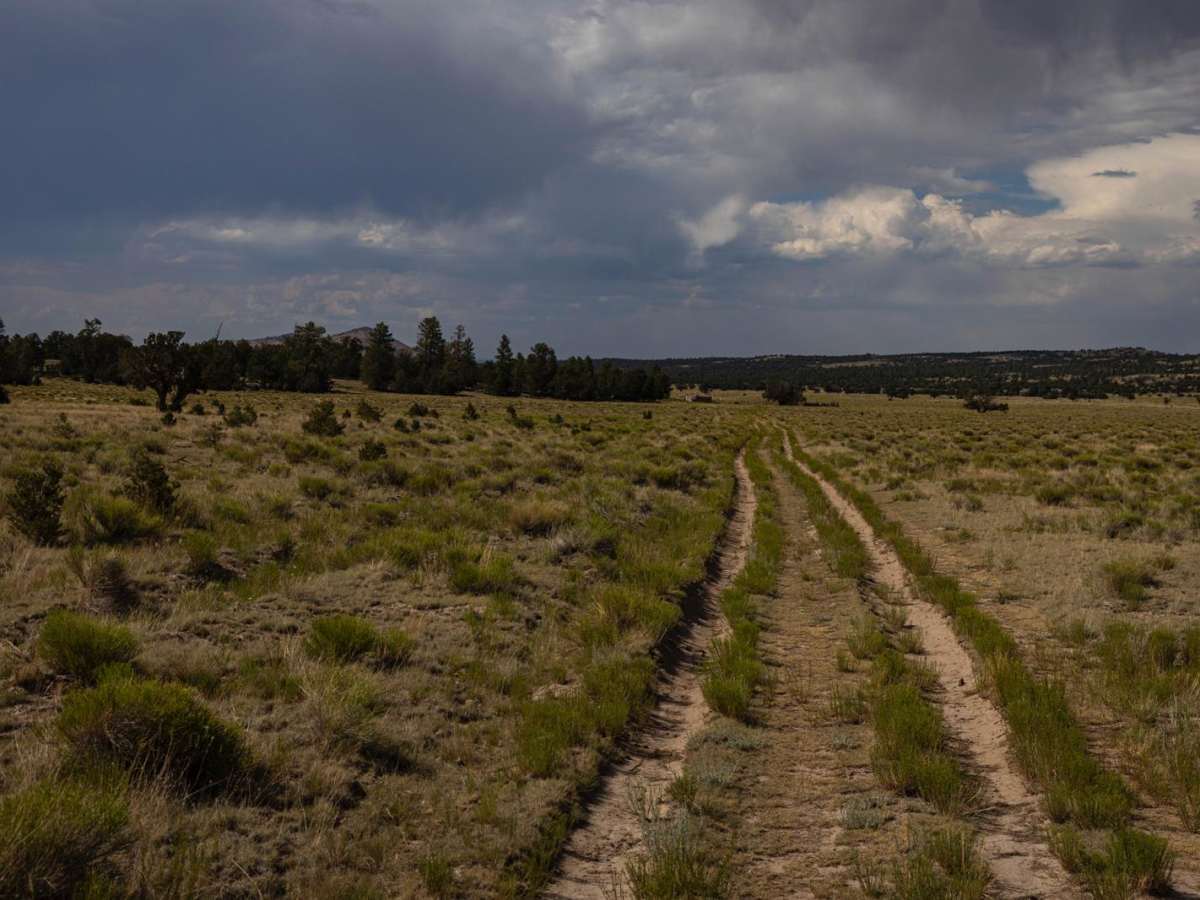 Pasture Waterline photo 3