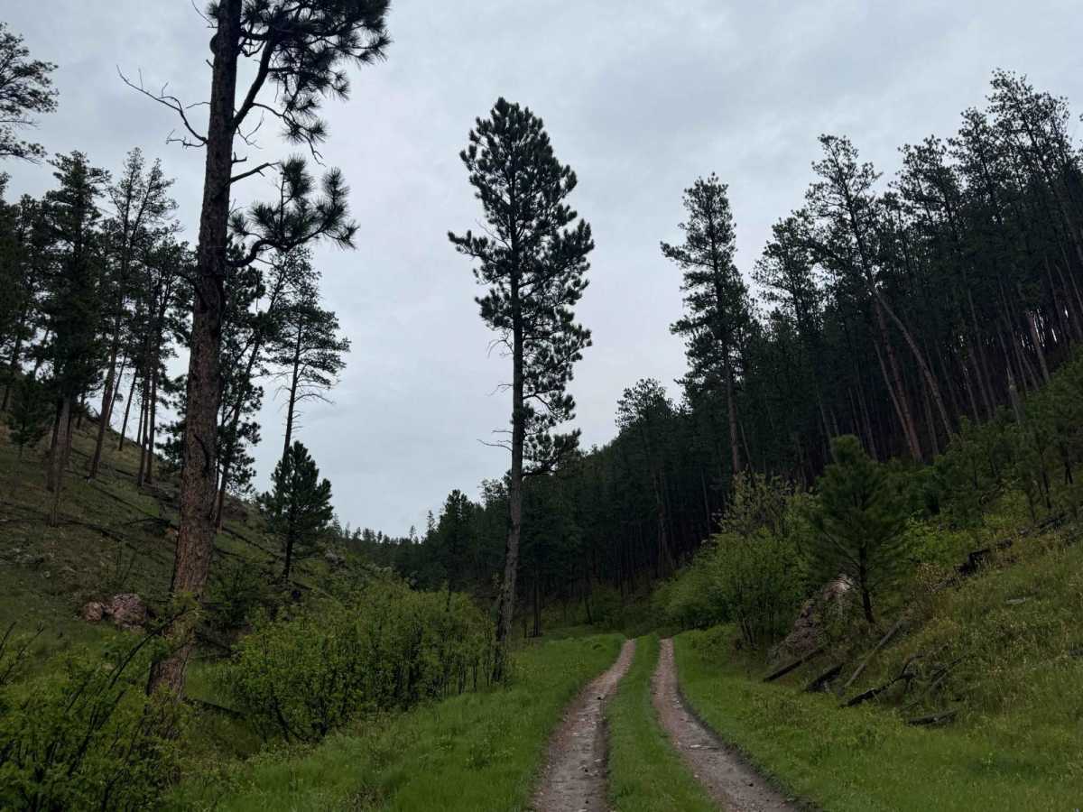 Barrel Springs Br 2B trail photo
