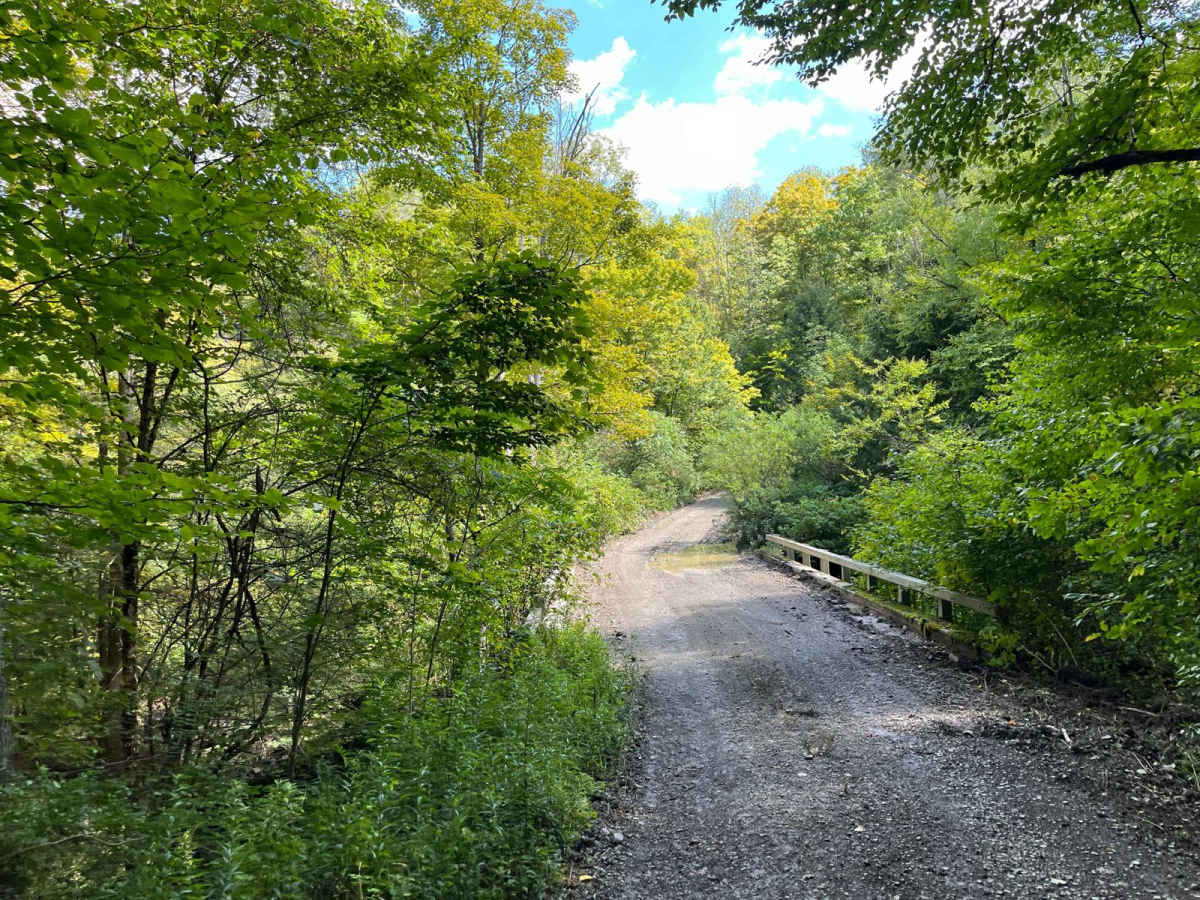 Todd Road trail photo