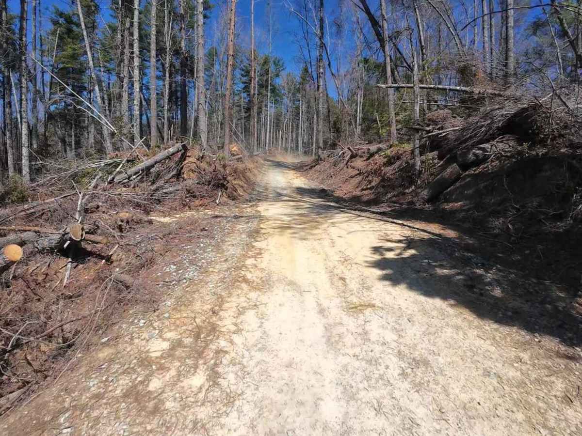 Jackie's Ridge Road photo 2