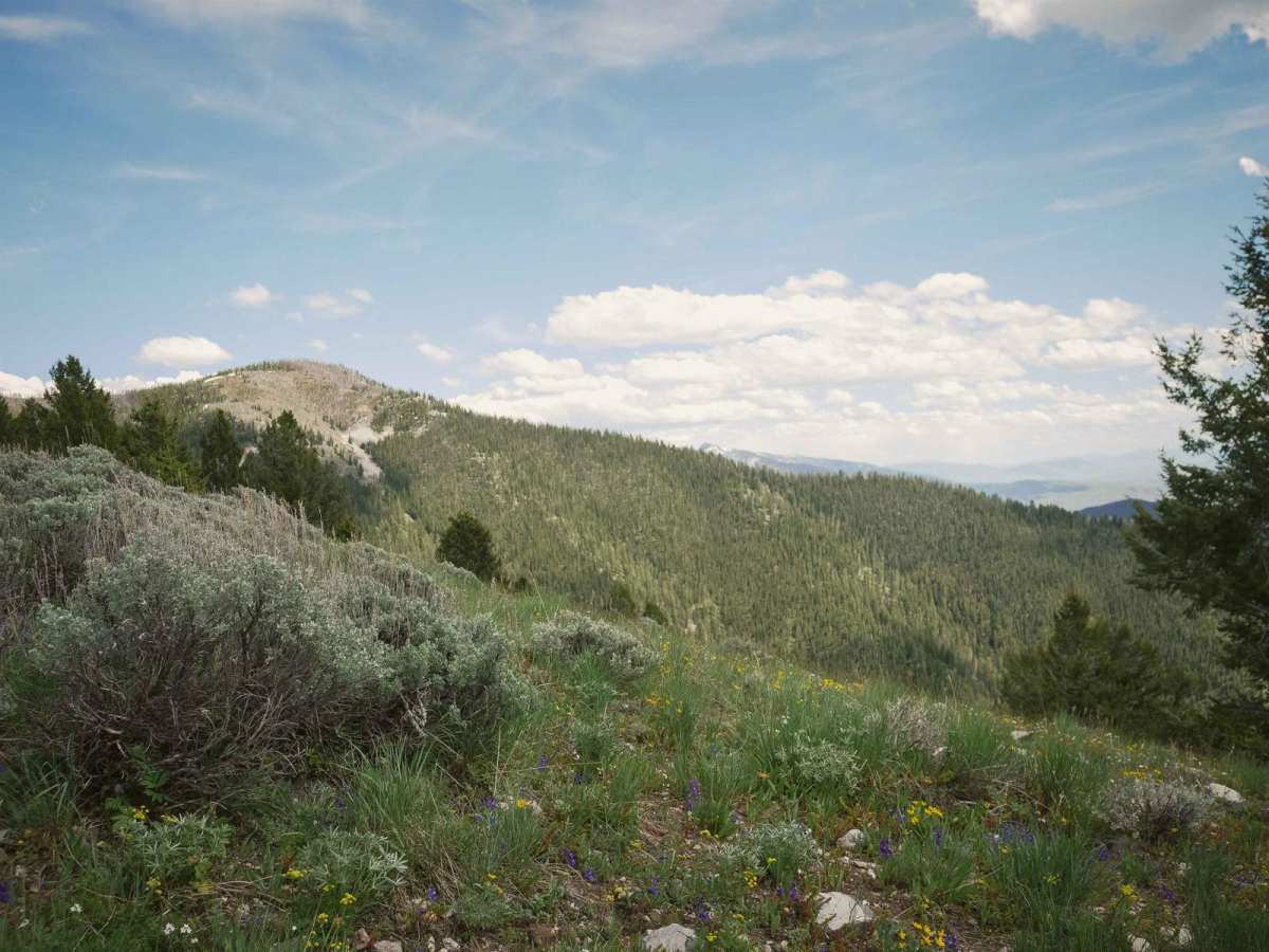 Stein Mountain photo 6