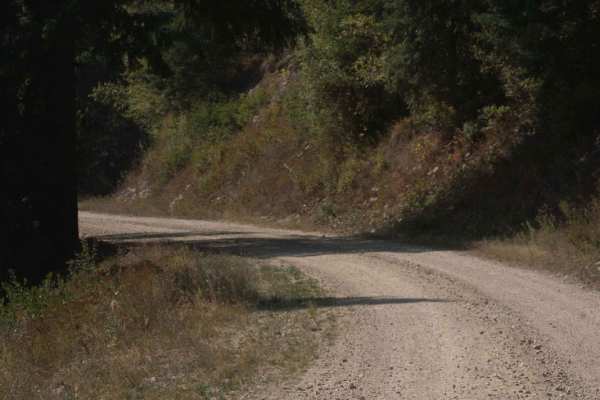 Potter Creek - FS 911