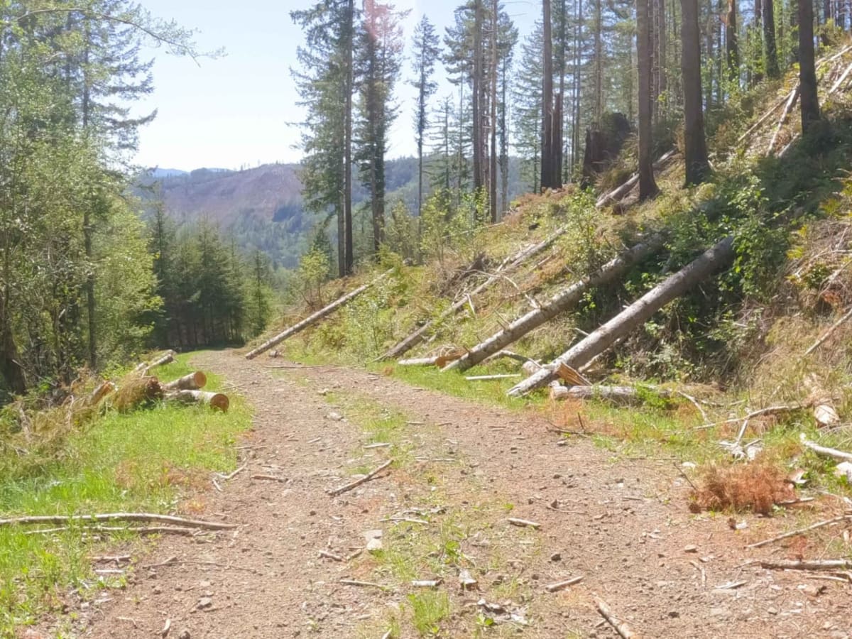 ZigZag Road - South trail photo