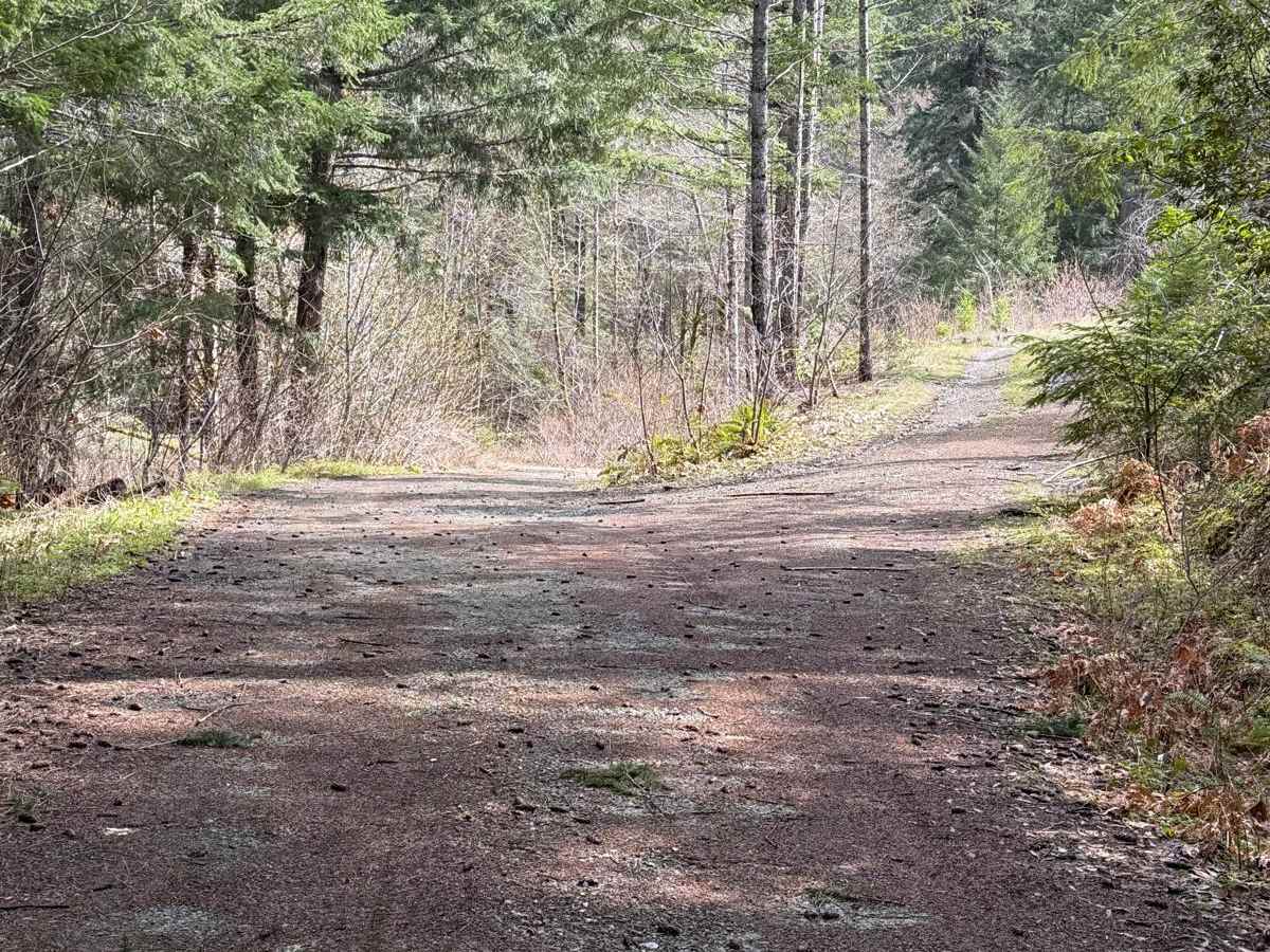 Lower Stratton Creek Road photo 5