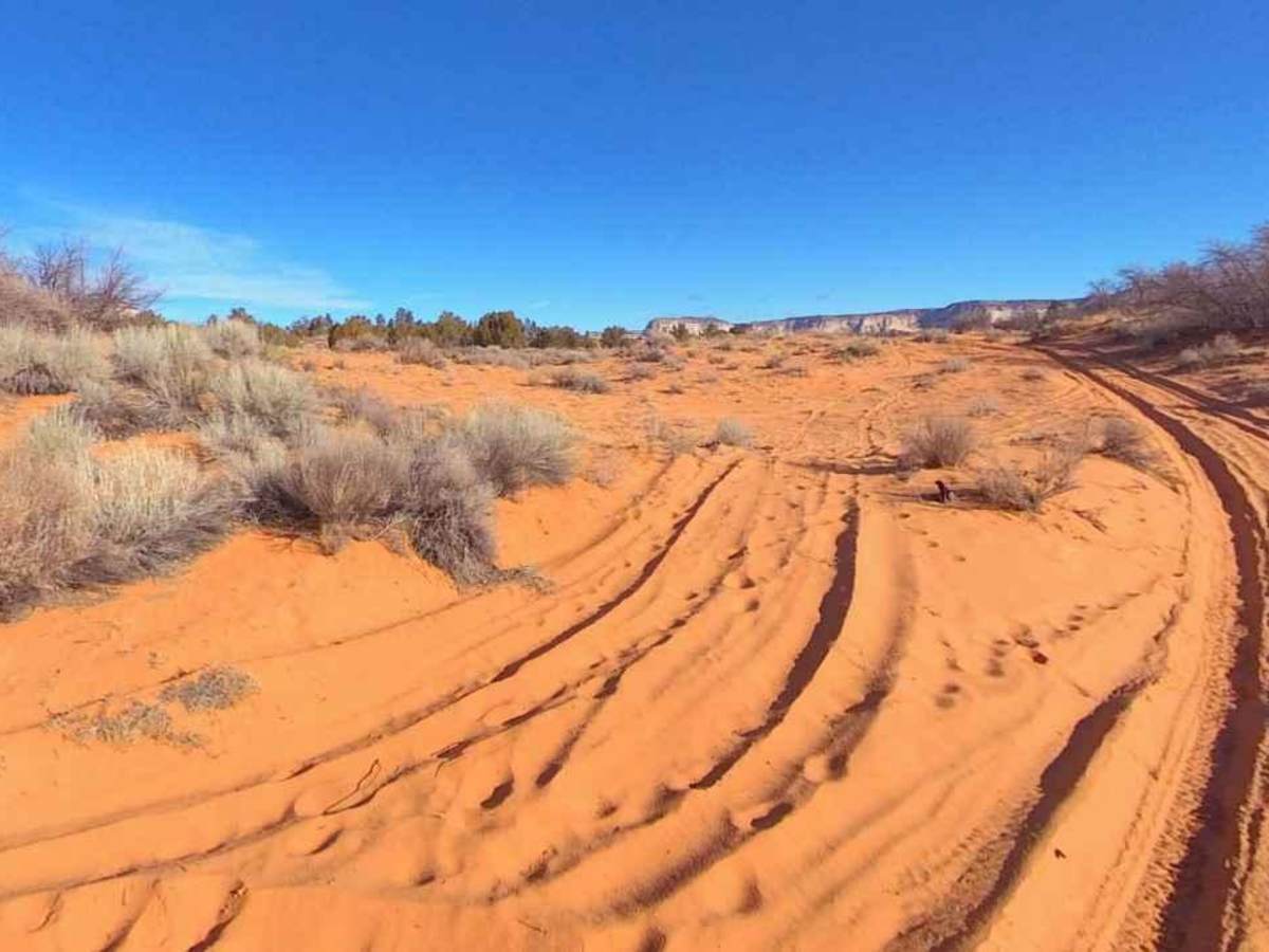 White Tower Loop-BLM102 photo 5