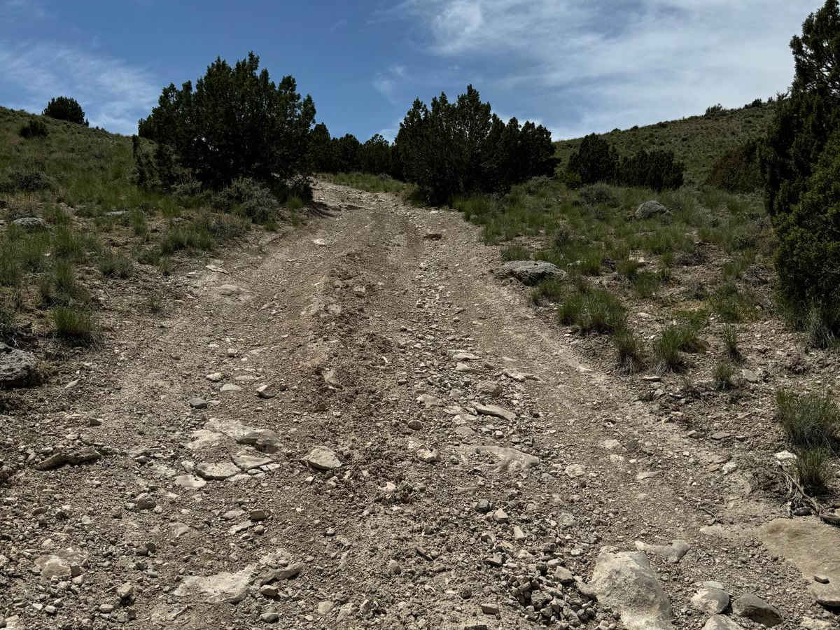 Davis Mountain Pass trail photo