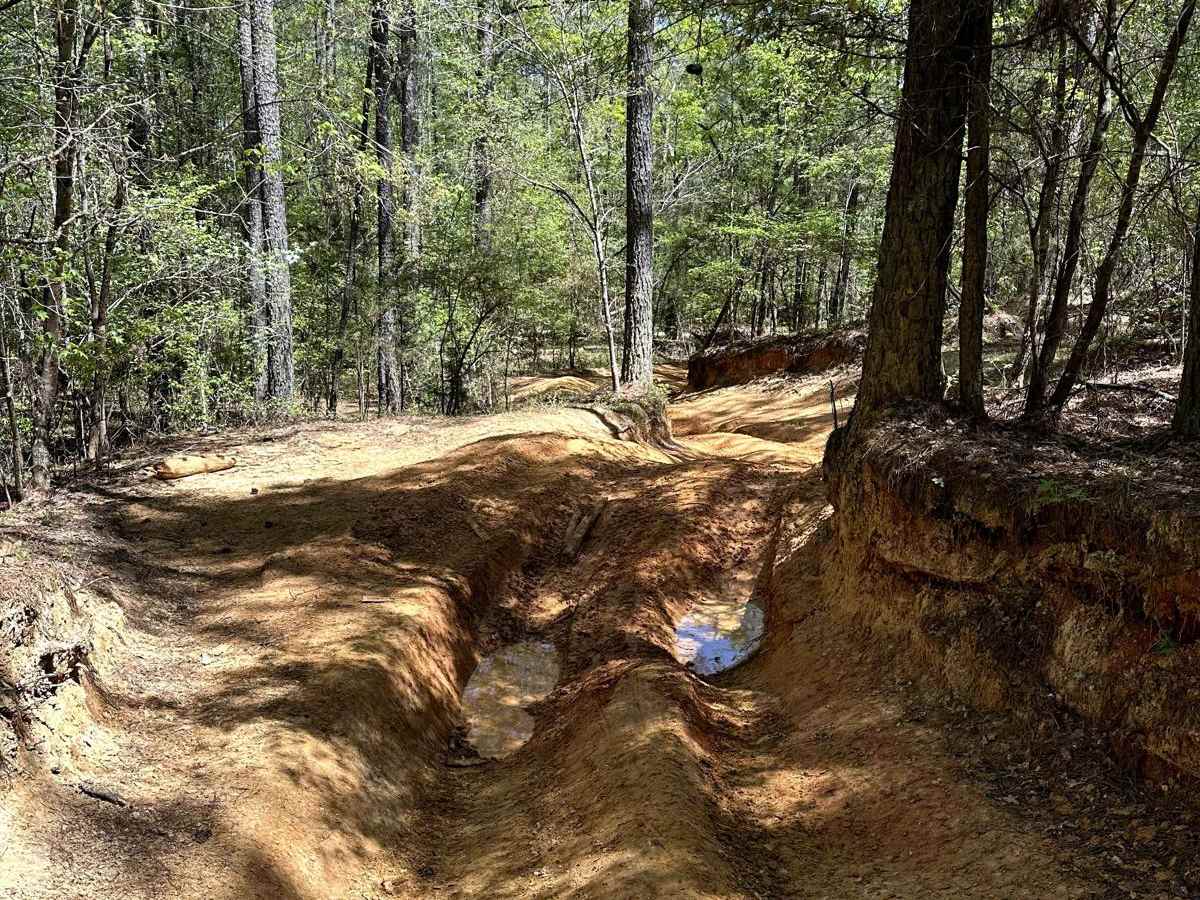 Trail 25 photo 5