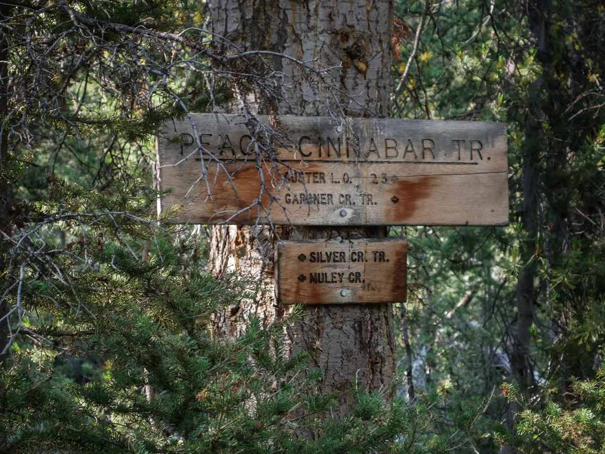 Peach Cinnabar/ Peach Creek photo 5