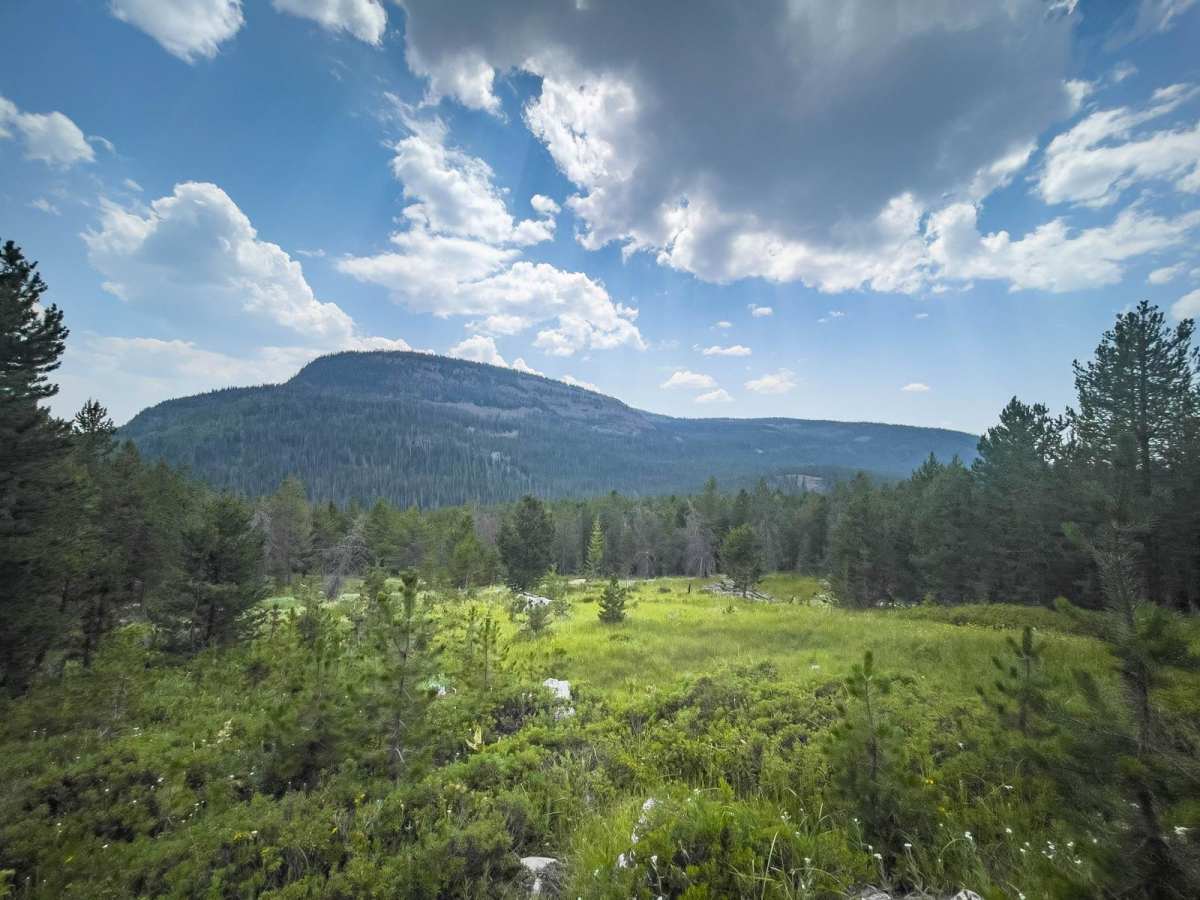 Murdock Basin - FR 80137 photo 6