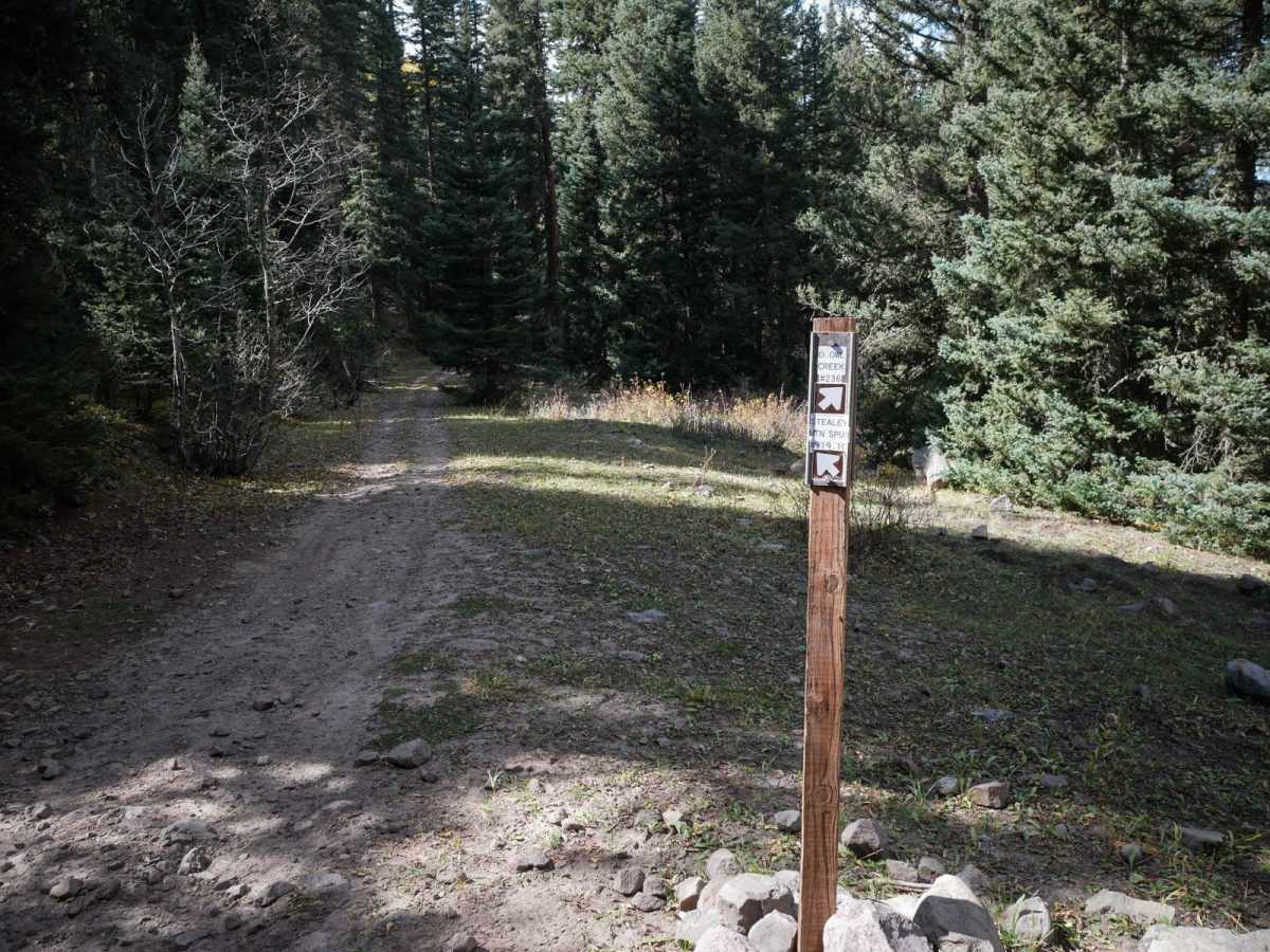 Stealey Mountain Spur ATV photo 3