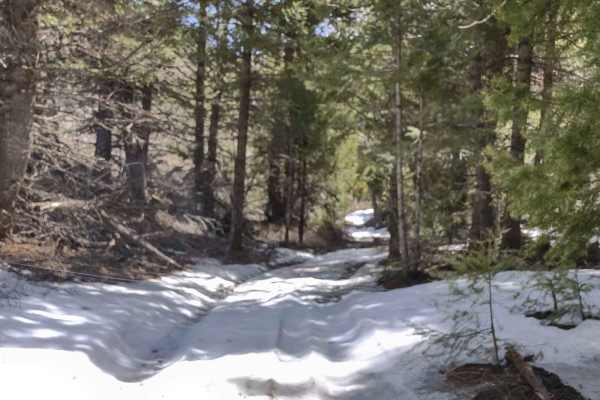 Arco Pass Road to Wood Canyon