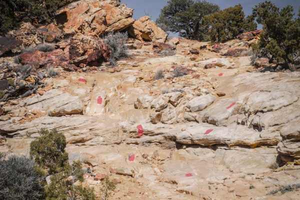 Red Trail
