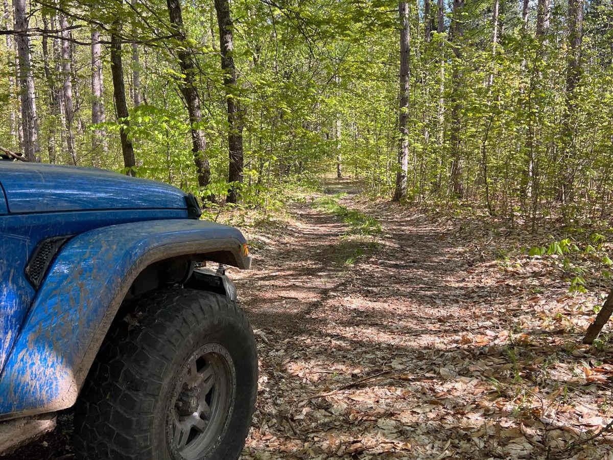 County Ridge Trail photo 6