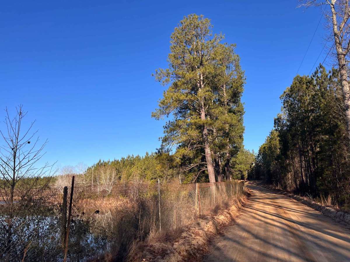 North Fork Road photo 3
