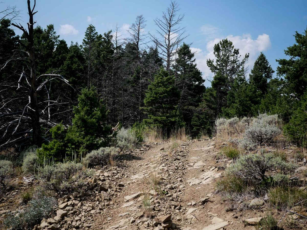 Willow Creek South ATV photo 2