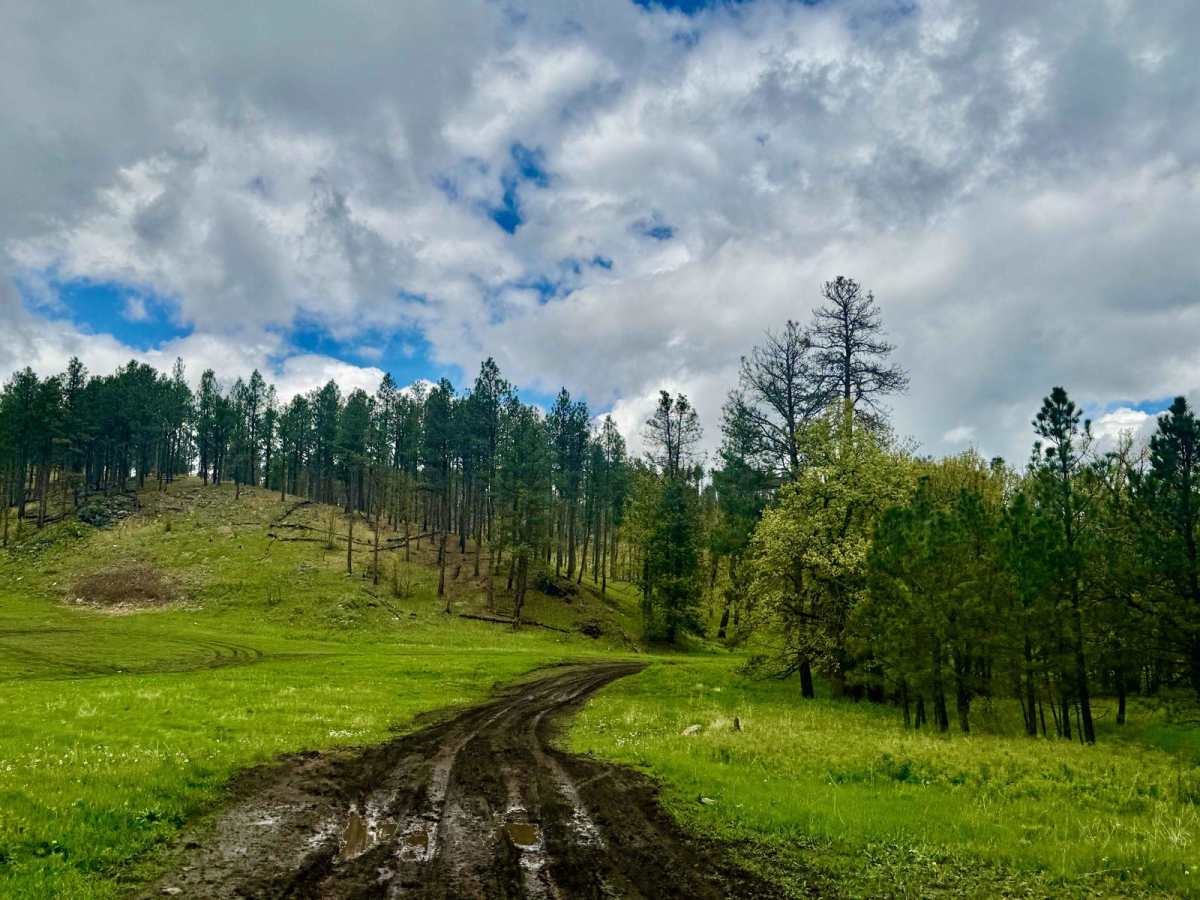 Johnson Gulch - FS 674.1A trail photo