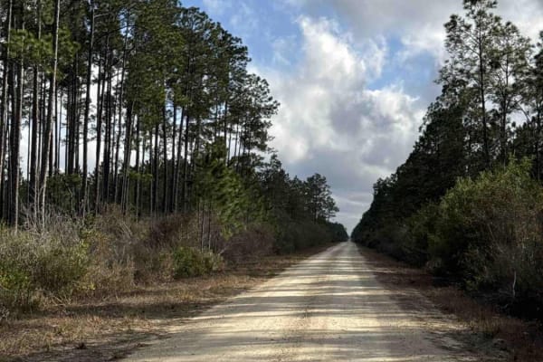 Tower Road