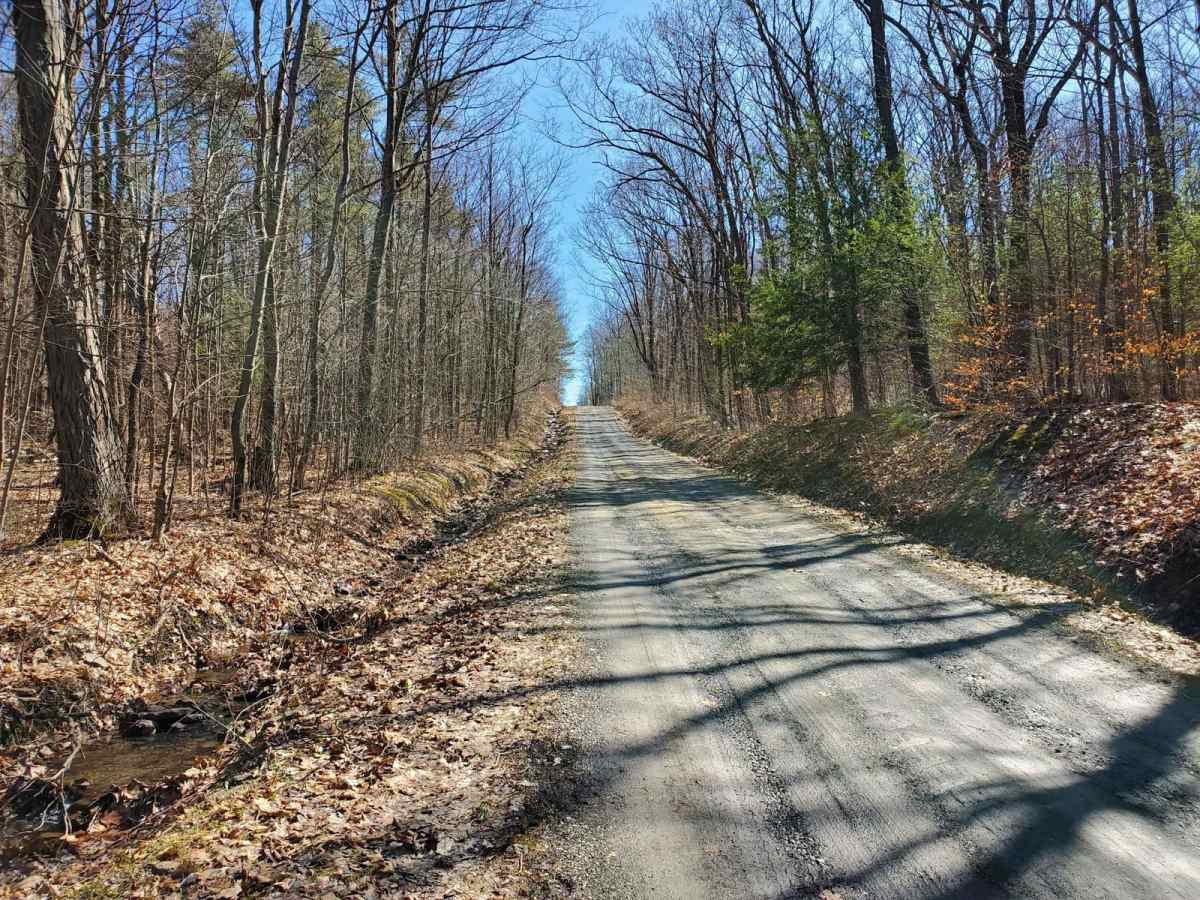 Wilkens Townsend Road photo 3