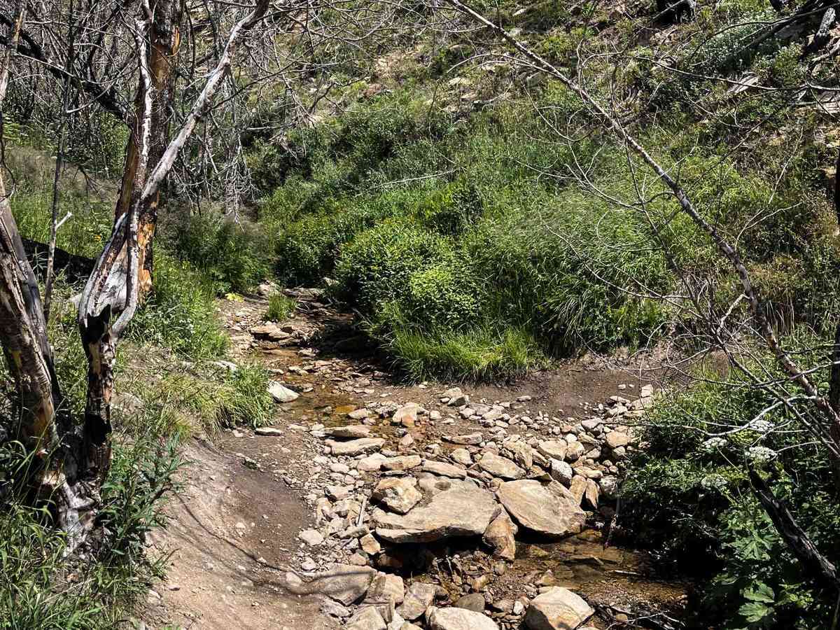 Willow Pass Trail photo 5