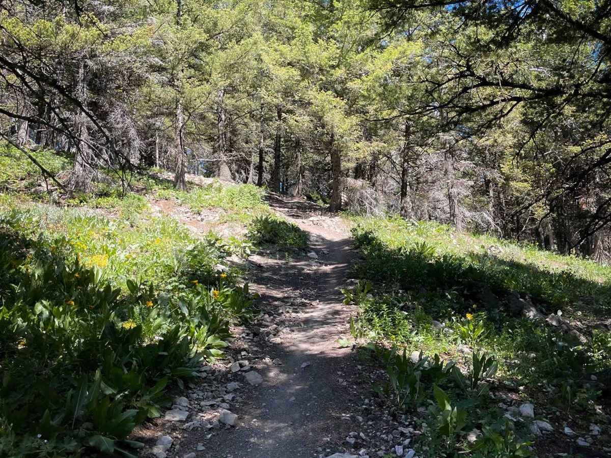 Twin Creek photo 6