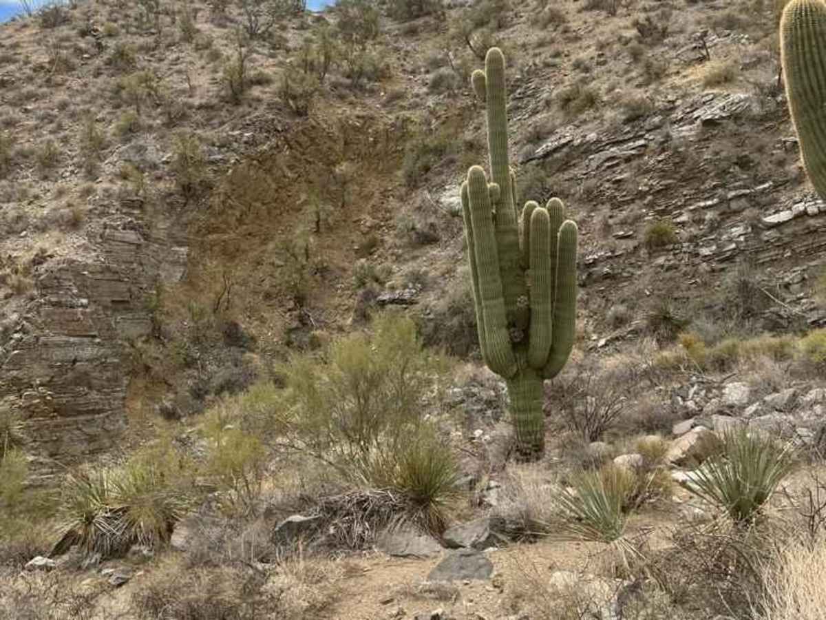 Jupiter Mine trail photo