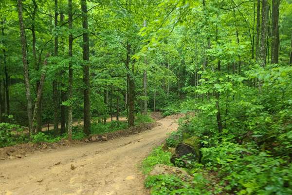Ride Royal Blue Trail - Trail 27