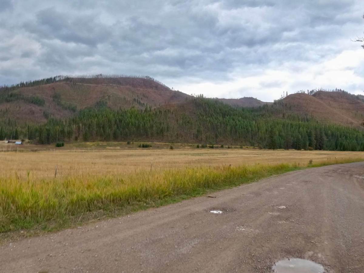 Saint Pats Road-Cyr Iron Mountain Road trail photo