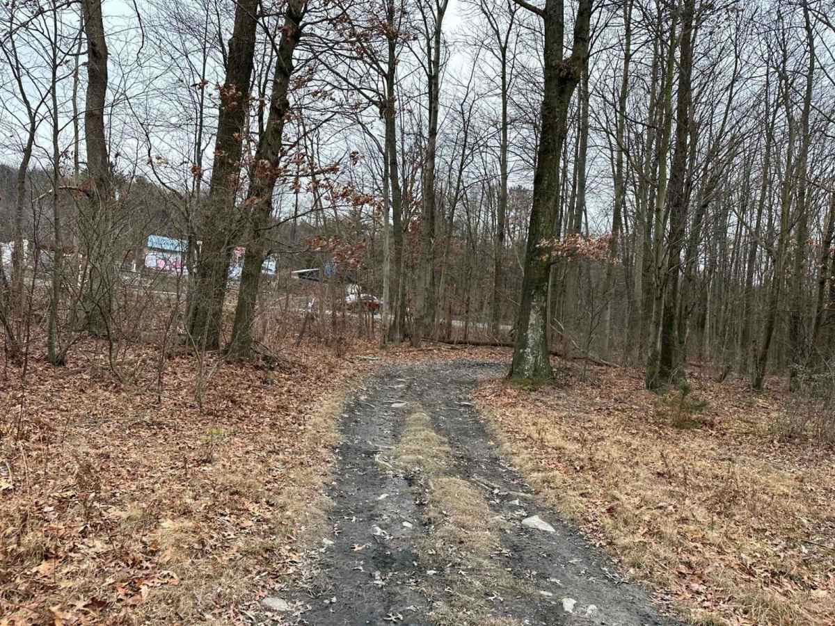 Locust Gap 26 photo 5