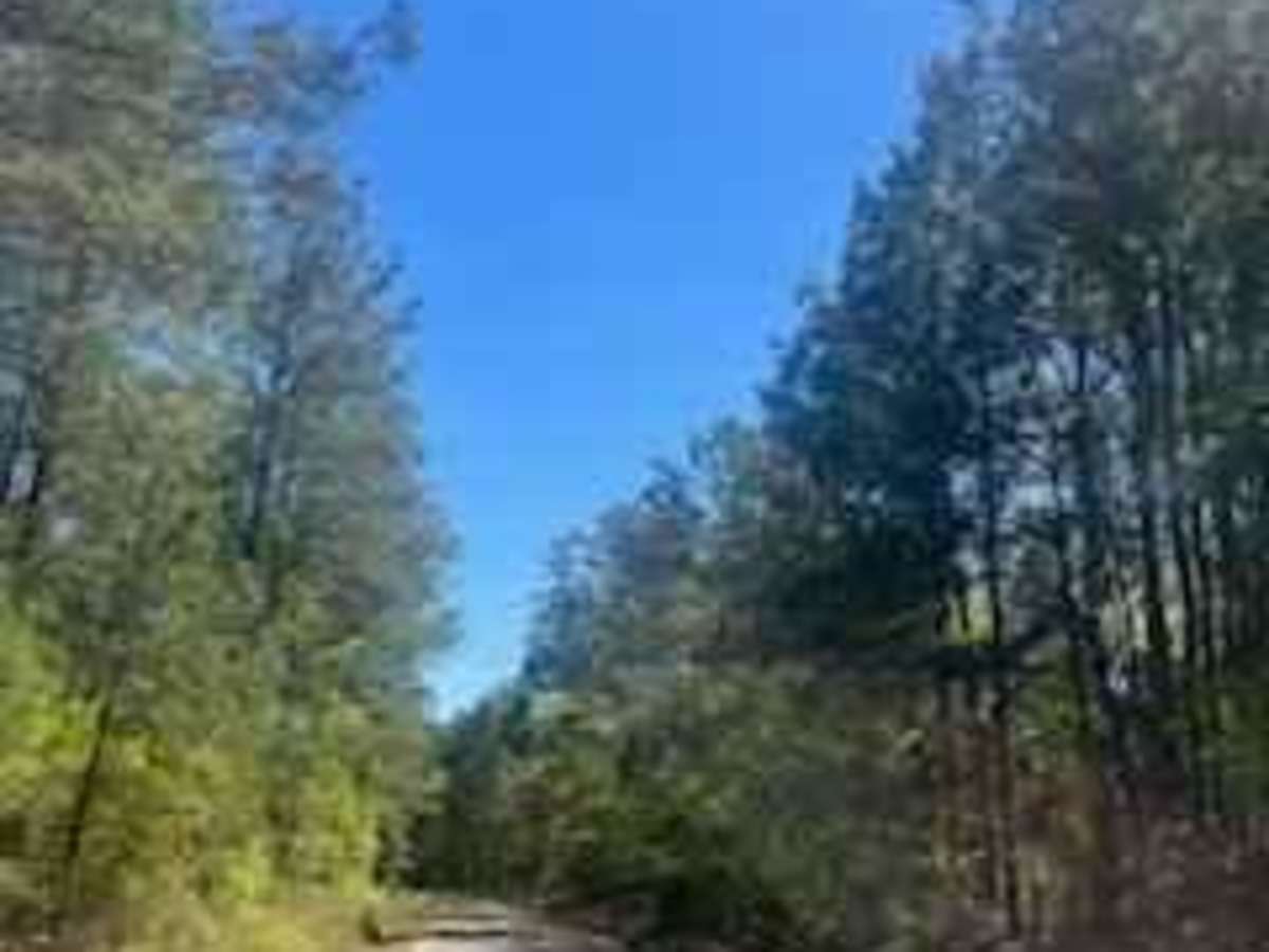 Winnfield Road trail photo