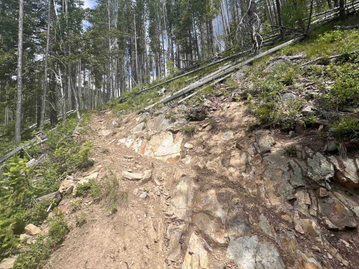 Little North Fork photo 6