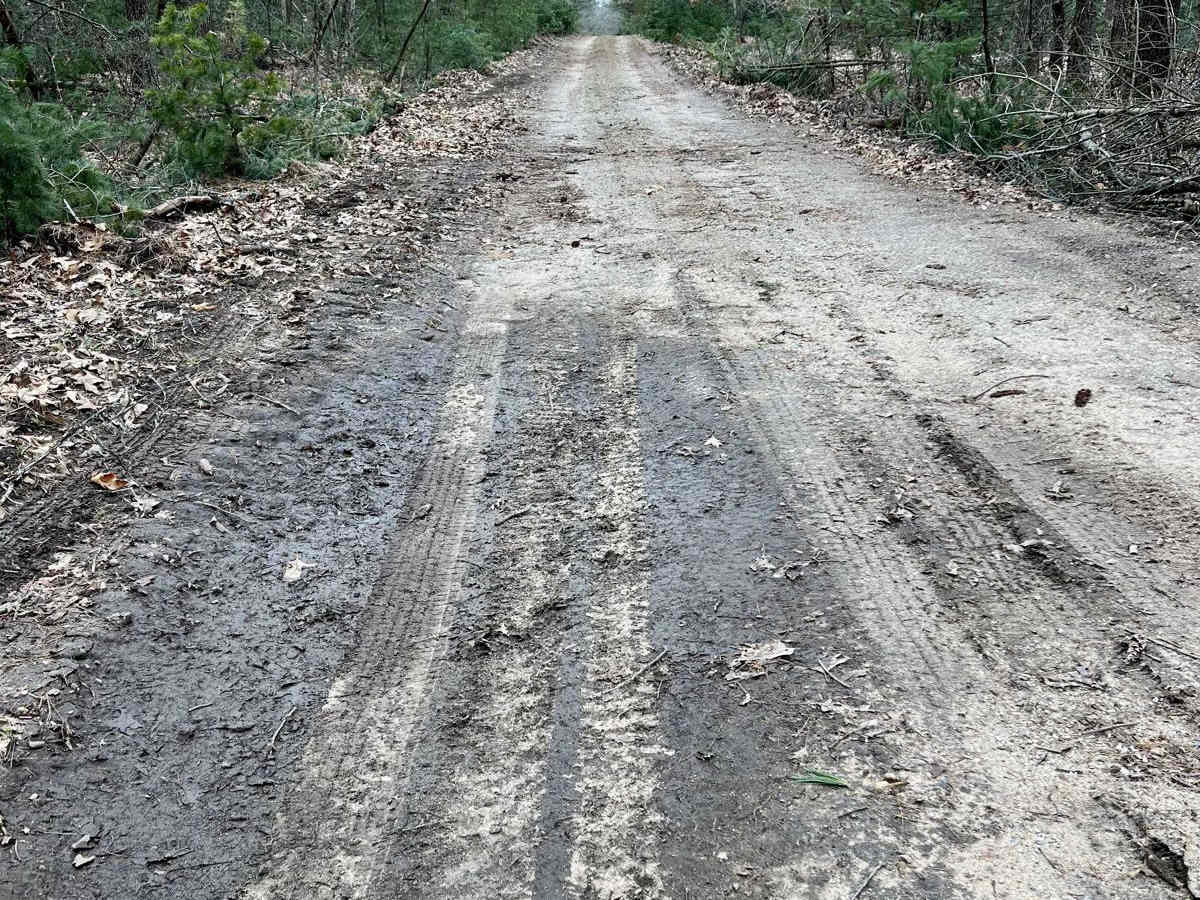 NFS 9222 (Newaygo Experimental Forest) photo 4