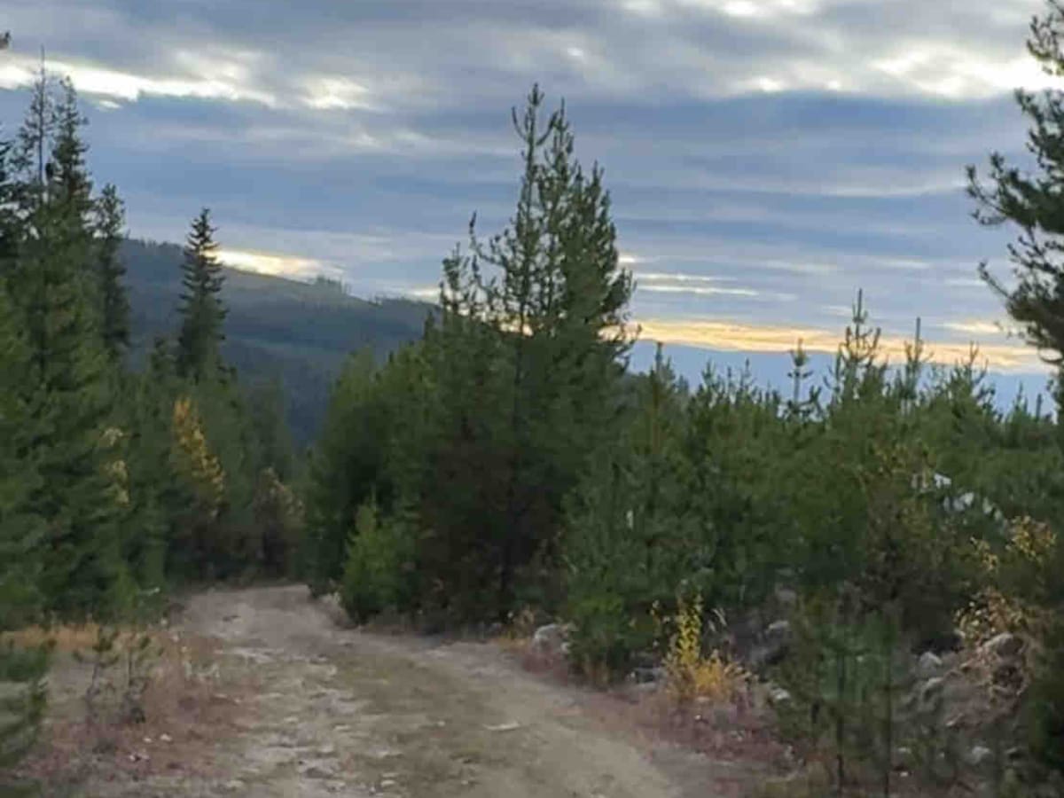 Chute-Meadow Connector photo 4