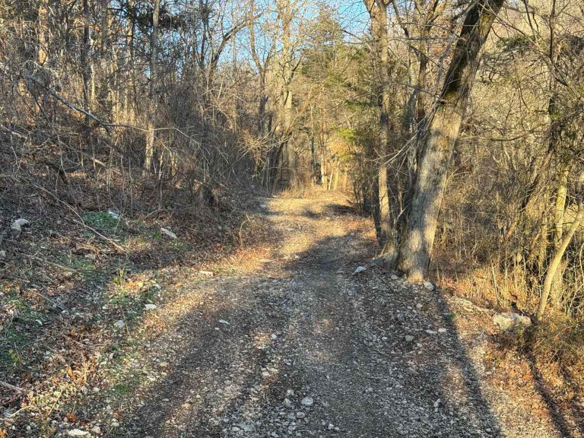 Yellow 316 trail photo