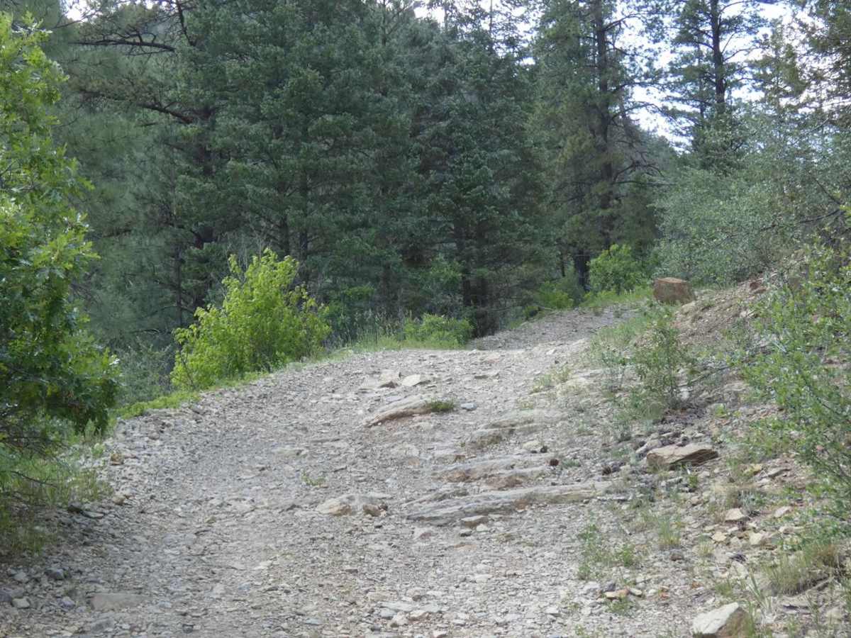 Dalton Canyon Loop trail photo